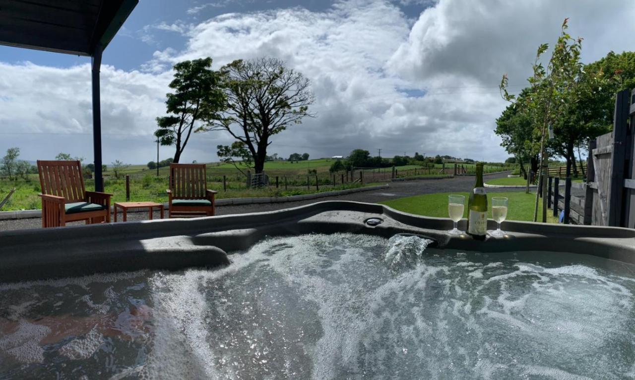 Deerfin Rentals Private Chalet With Hot Tub Ballymena Ngoại thất bức ảnh